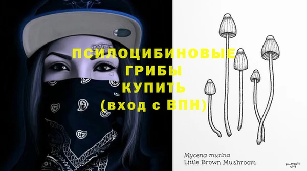 прущие грибы Абдулино
