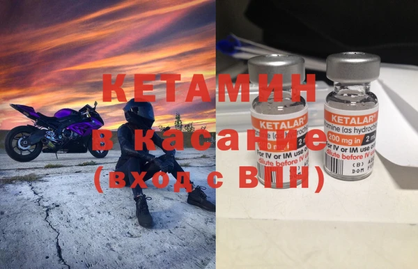 прущие грибы Абдулино