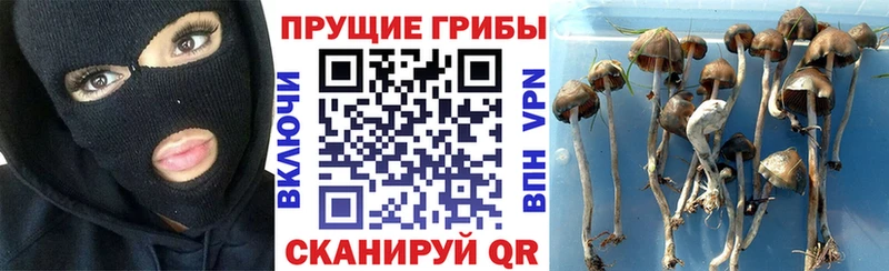 купить наркотик  Сорск  МЕГА вход  Псилоцибиновые грибы MAGIC MUSHROOMS 